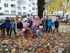 większy obrazek nr 24