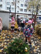 większy obrazek nr 28