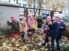 większy obrazek nr 31