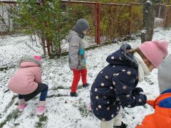 większy obrazek nr 87