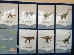 większy obrazek nr 2