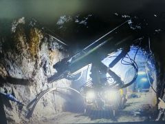 ilustracja do wpisu 
Tutaj rosły paprocie