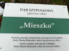 tablica informacyjna na pomniku przyrody