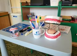 "Dziel się uśmiechem" - zajęcia z higienistką stomatologiczną