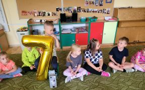 większy obrazek nr 19