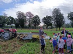 większy obrazek nr 1