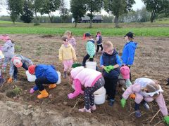 większy obrazek nr 4