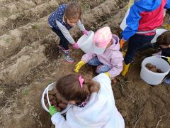 większy obrazek nr 8