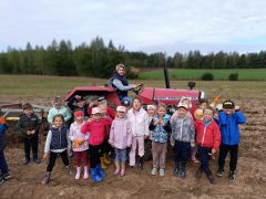 większy obrazek nr 13