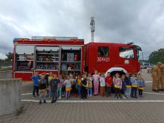 większy obrazek nr 9