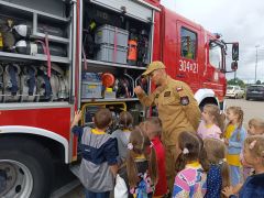 większy obrazek nr 10