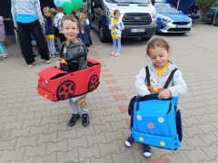 większy obrazek nr 25