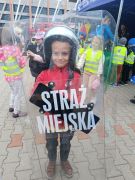 większy obrazek nr 29