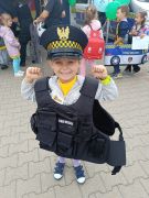 większy obrazek nr 31