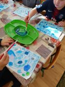 większy obrazek nr 1