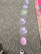 Co wykluwa się z jajka 