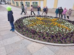 Spacer w ogrodach Branickich