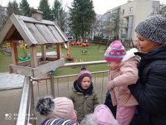 w karmniku