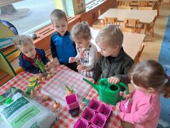 ilustracja do wpisu 
ZIELONY OGRÓDEK W NASZEJ SALI