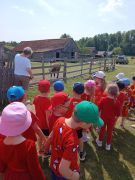 Zwiedzamy zoo