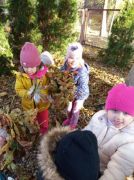 Ratujemy kasztanowce.