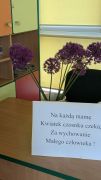 Na każdą mamę kwiatek czosnku czeka
Za wychowywanie małego człowieka.