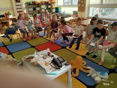 większy obrazek nr 5