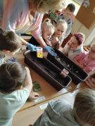 Wiemy ,że nasiona mają różny kształt i wielkość 