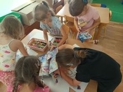 Grupa V/1